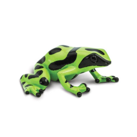 Tube - Les dendrobates