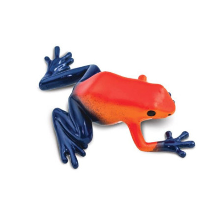 Tube - Les dendrobates