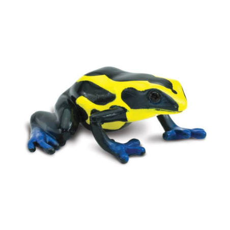 Tube - Les dendrobates