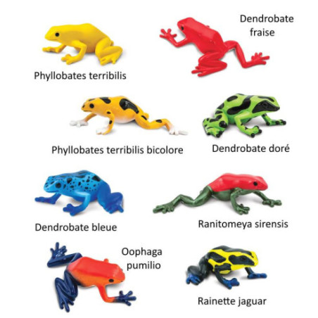 Tube - Les dendrobates