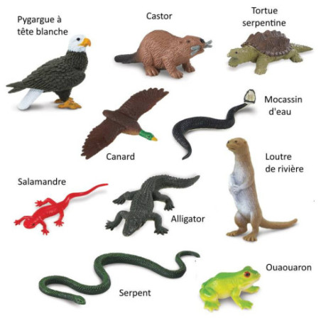 Tube - Animaux de rivière Tube - Animaux de rivière