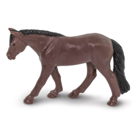 Tube - Chevaux et cavaliers