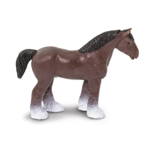 Tube - Chevaux et cavaliers