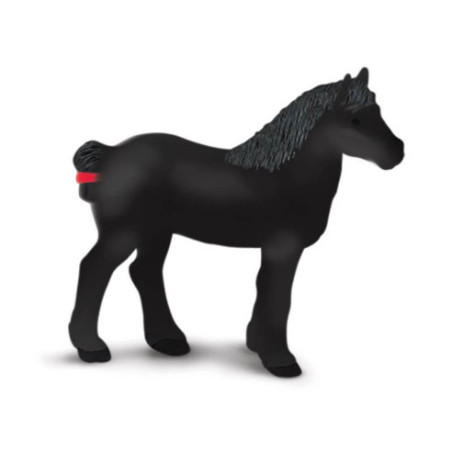 Tube - Chevaux et cavaliers