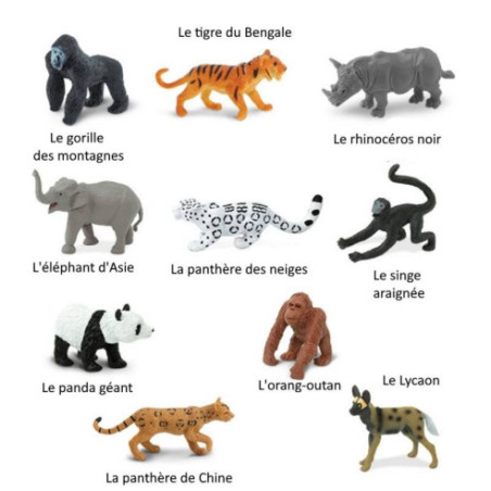 Tube - Espèces terrestres menacées