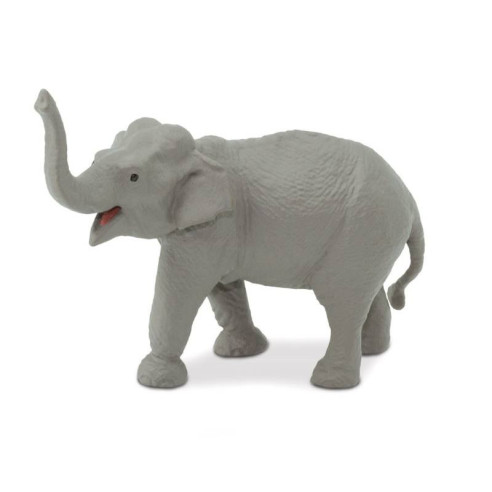 Tube - Espèces terrestres menacées