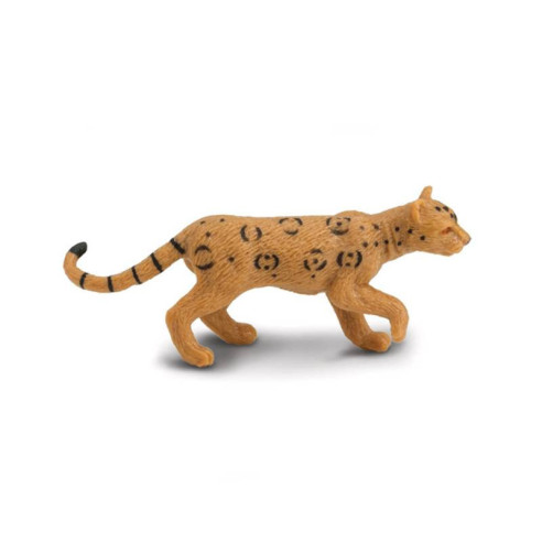 Tube - Espèces terrestres menacées