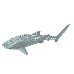 Tube - Espèces marines menacées 2