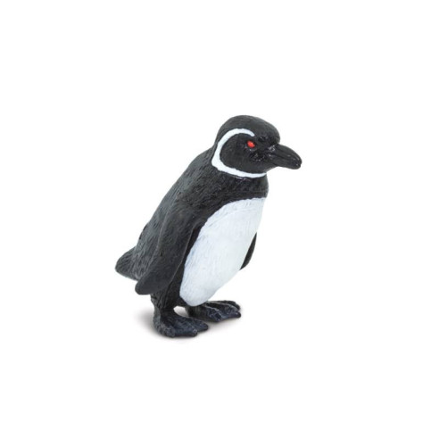 Tube - Espèces marines menacées