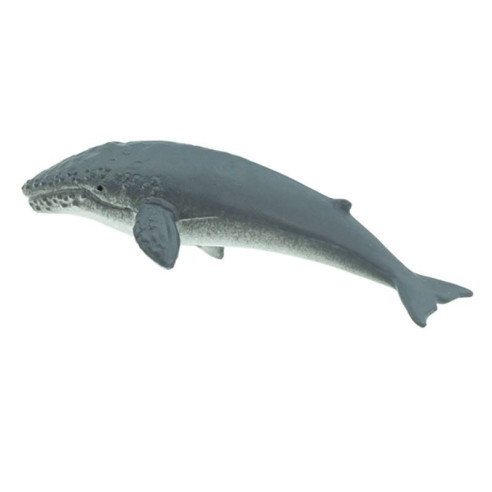 Tube - Espèces marines menacées