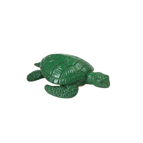 Tube - Espèces marines menacées