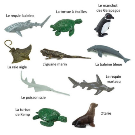 Tube - Espèces marines menacées