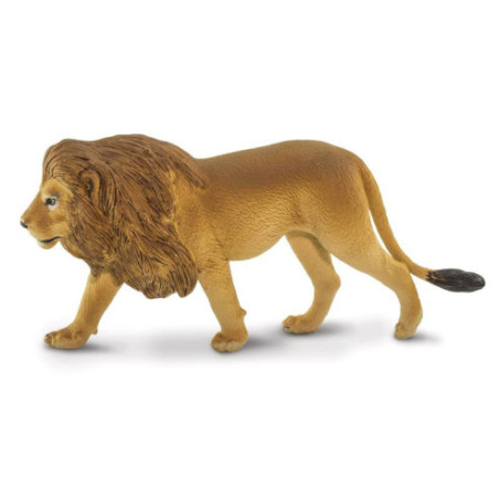 Tube - Afrique du Sud