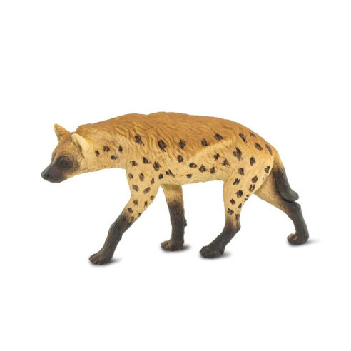 Tube - Afrique du Sud