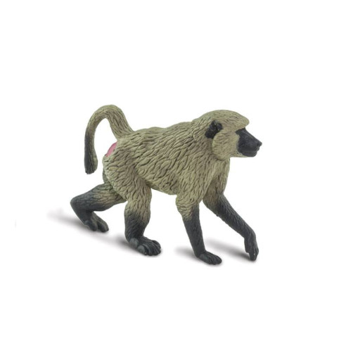 Tube - Afrique du Sud