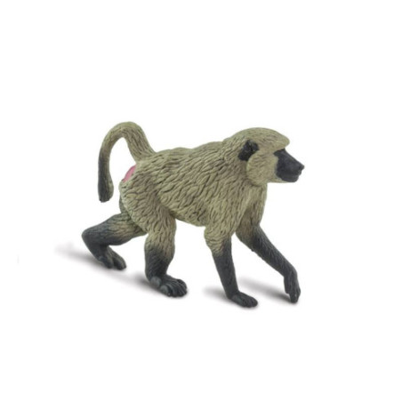 Tube - Afrique du Sud