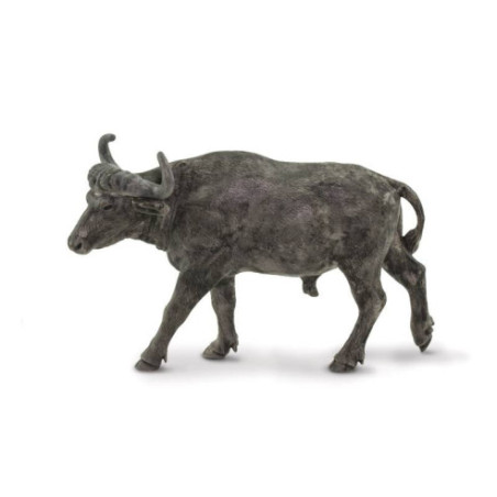 Tube - Afrique du Sud