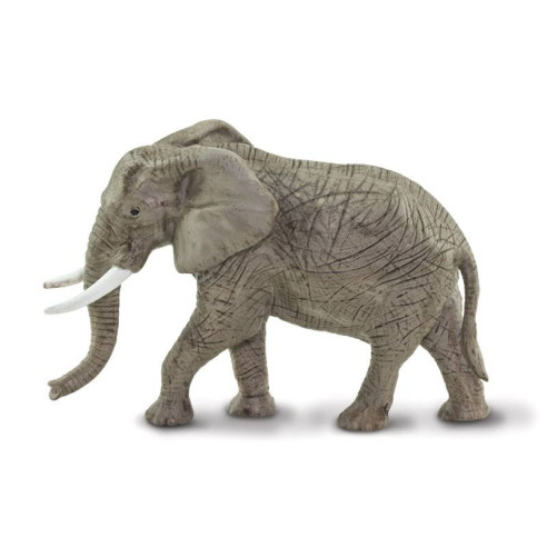 Tube - Afrique du Sud