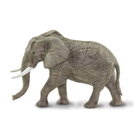 Tube - Afrique du Sud