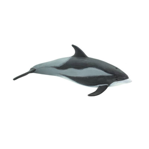 Tube - Dauphins