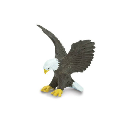 Tube - Les Etats-Unis