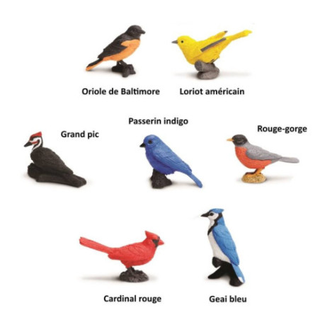 Tube - Oiseaux des jardins Tube - Oiseaux des jardins