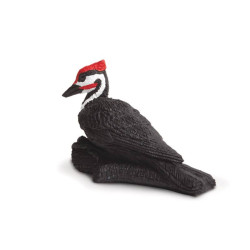 Tube - Oiseaux des jardins 2