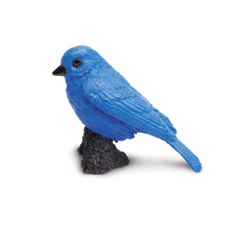 Tube - Oiseaux des jardins Tube - Oiseaux des jardins