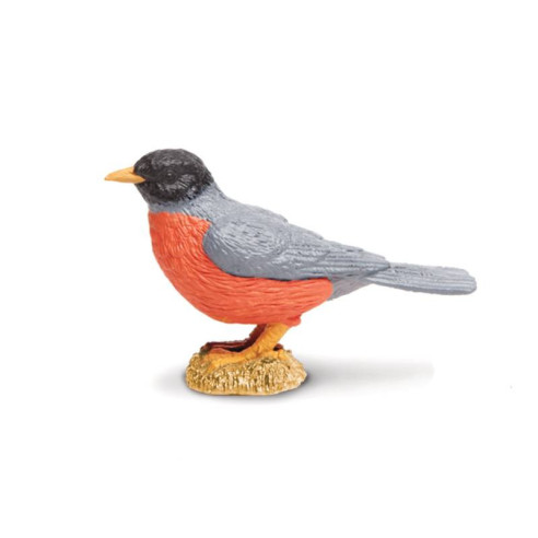 Tube - Oiseaux des jardins