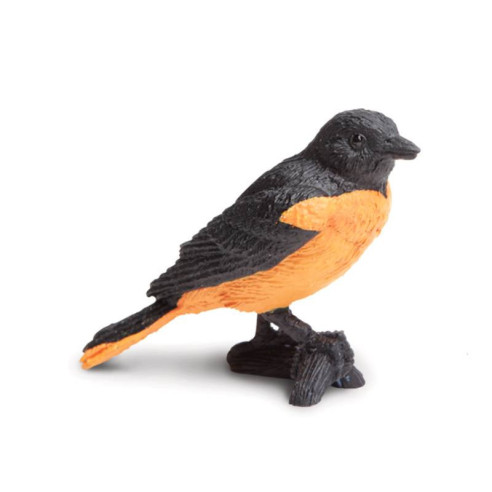 Tube - Oiseaux des jardins