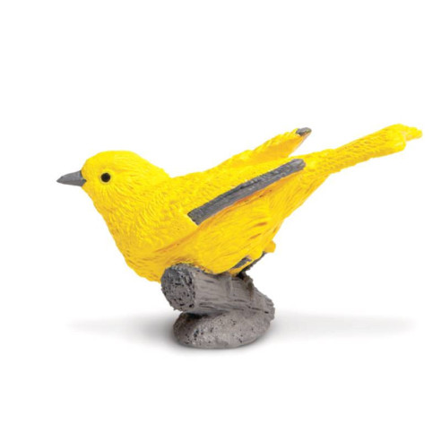 Tube - Oiseaux des jardins