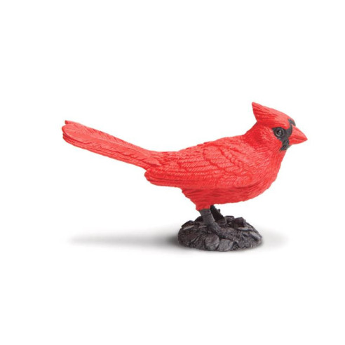 Tube - Oiseaux des jardins