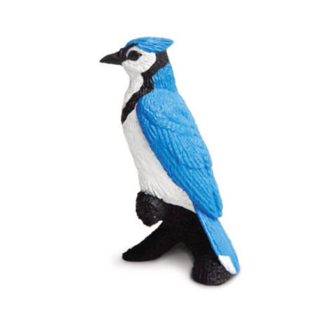 Tube - Oiseaux des jardins Tube - Oiseaux des jardins