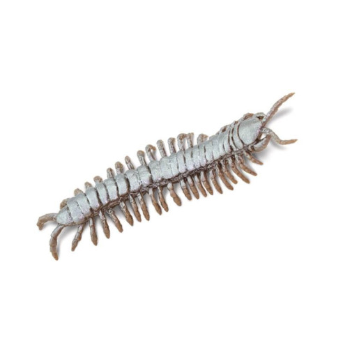 Tube - Créatures venimeuses