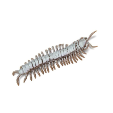 Tube - Créatures venimeuses