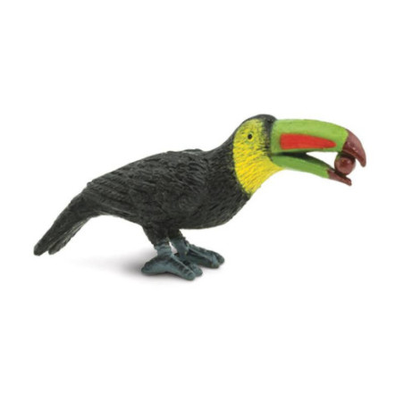 Tube - Oiseaux exotiques