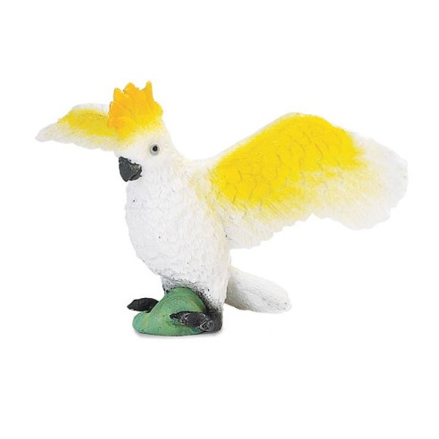 Tube - Oiseaux exotiques