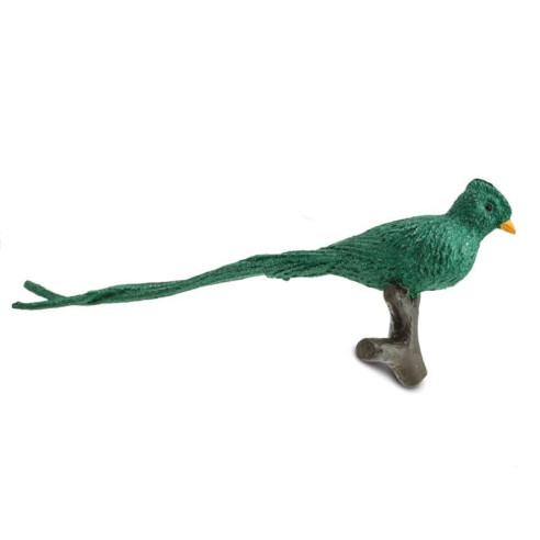 Tube - Oiseaux exotiques