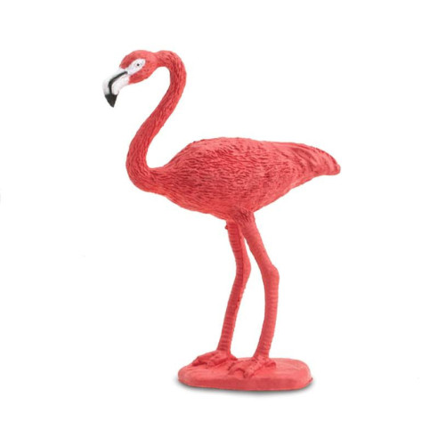 Tube - Oiseaux exotiques