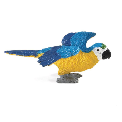 Tube - Oiseaux exotiques