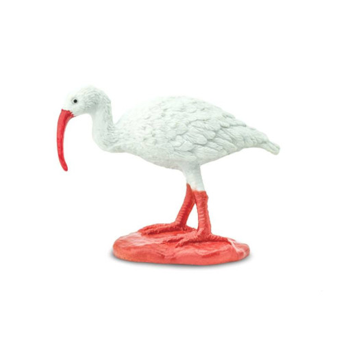 Tube - Oiseaux exotiques