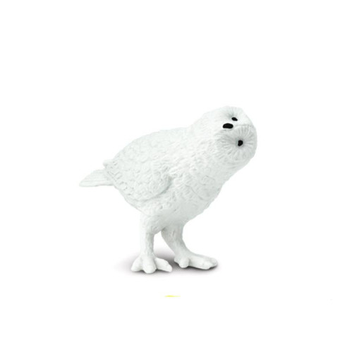 Tube - Oiseaux exotiques