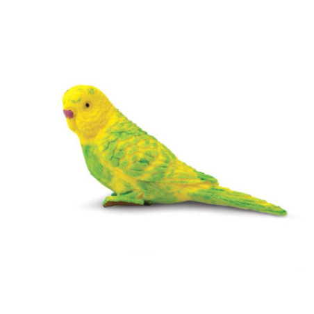 Tube - Oiseaux exotiques