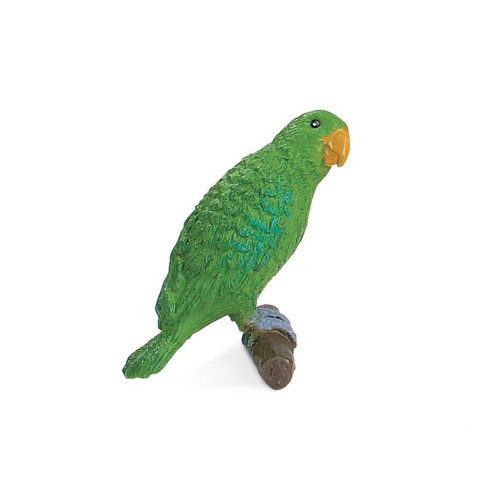 Tube - Oiseaux exotiques