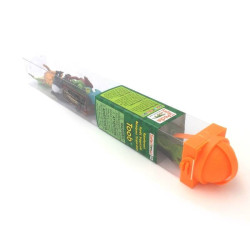 Tube - Forêt tropicale 2