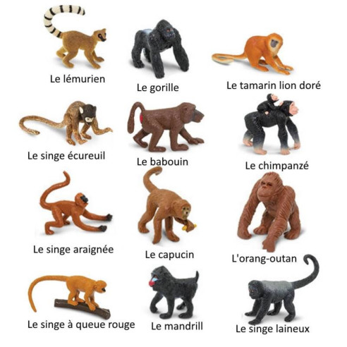 Tube - Les singes et grands singes - Figurine Safari Ltd - Ambiance