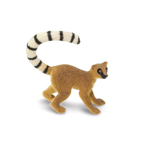 Tube - Les singes et grands singes