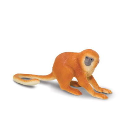 Tube - Les singes et grands singes