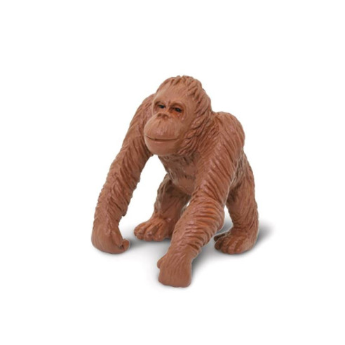 Tube - Les singes et grands singes