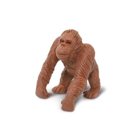 Tube - Les singes et grands singes